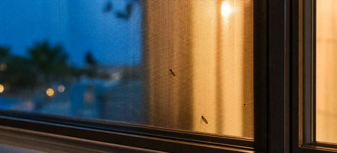 Warm interior light through the mesh weave at dusk