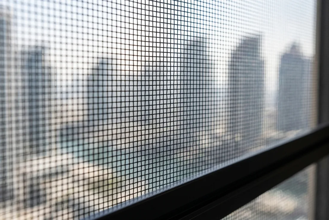 Mosquito mesh weave against the light