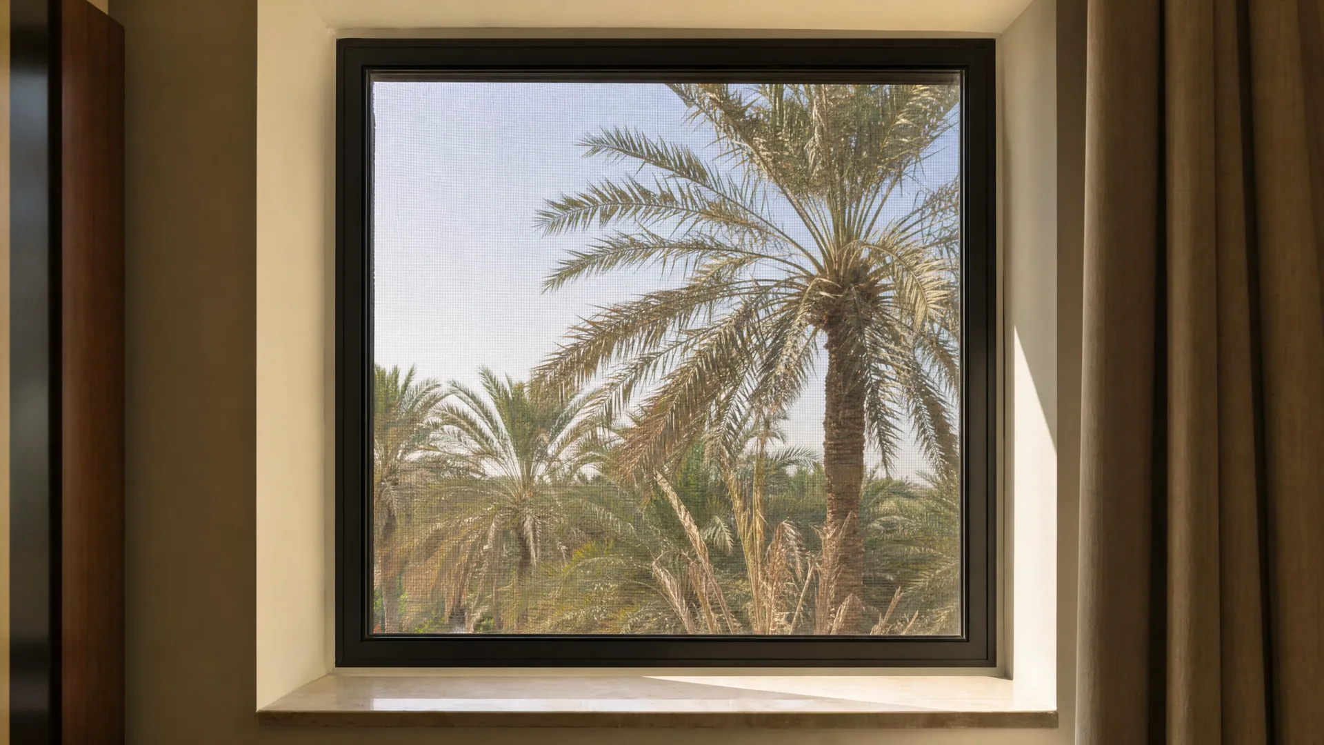 A framed screen in a window reveal with palms beyond