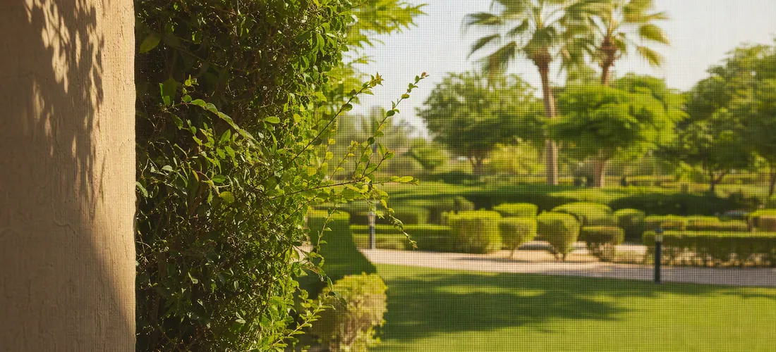UltraView mesh, all but invisible against a garden